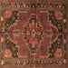 Square Persian Brown Traditional Rug, tr198brn