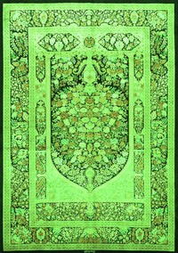 Persian Green Traditional Rug, tr1990grn