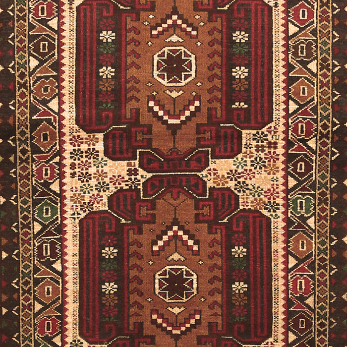 Machine Washable Persian Brown Traditional Rug, wshtr1994brn