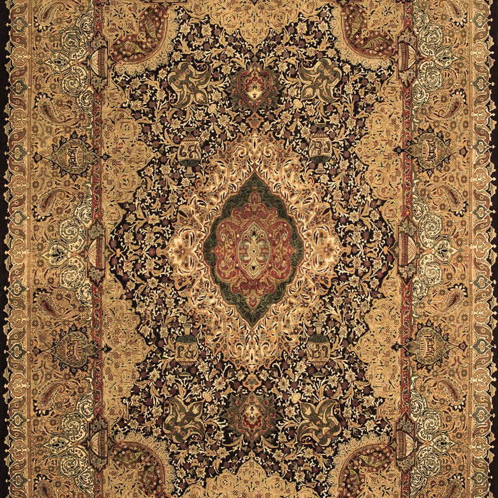 Medallion Brown Traditional Rug, tr19brn