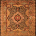 Serging Thickness of Medallion Orange Traditional Rug, tr19org