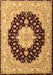 Machine Washable Persian Brown Traditional Rug, wshtr2005brn