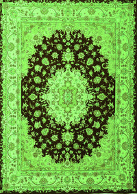 Persian Green Traditional Rug, tr2005grn