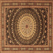 Square Persian Brown Traditional Rug, tr2006brn