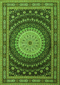 Persian Green Traditional Rug, tr2006grn