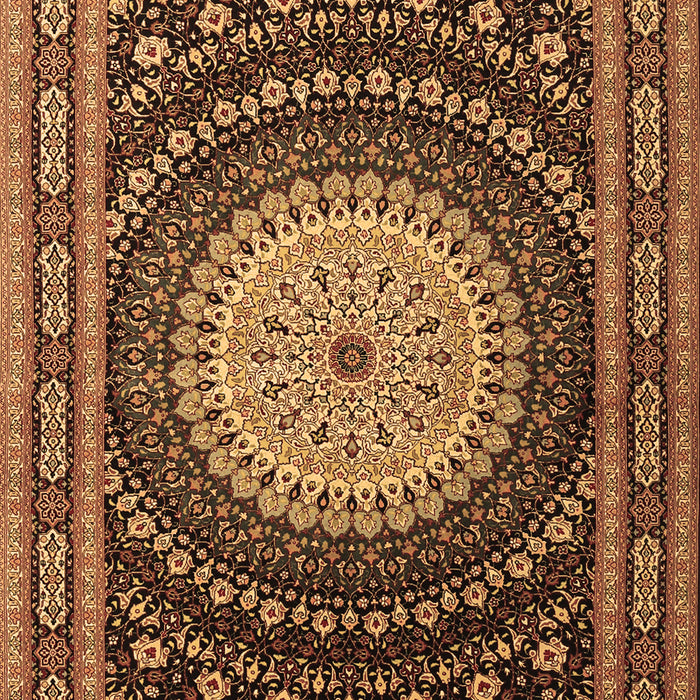 Machine Washable Persian Brown Traditional Rug, wshtr2006brn