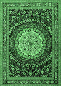 Persian Emerald Green Traditional Rug, tr2006emgrn