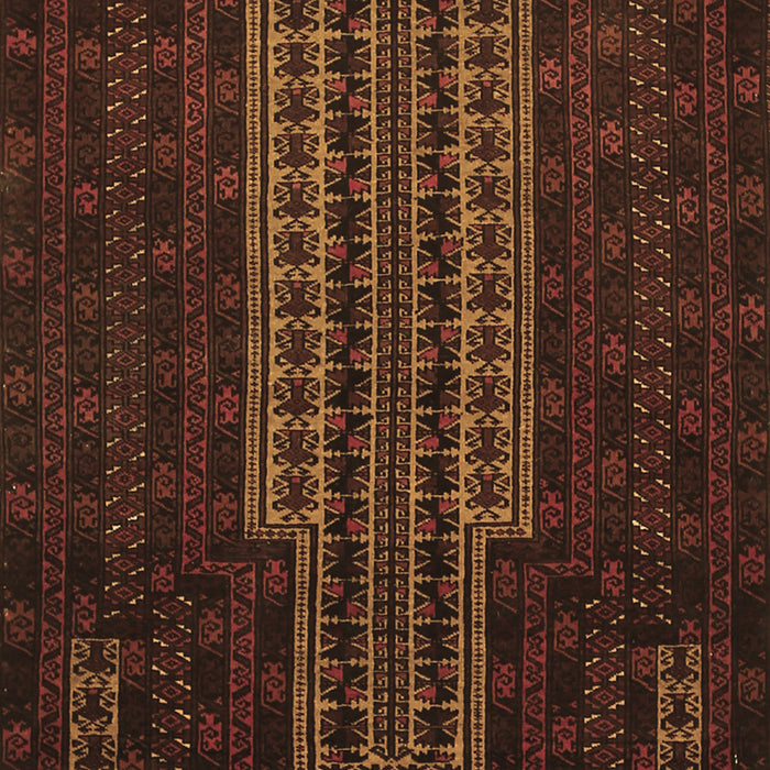 Machine Washable Southwestern Brown Country Rug, wshtr2009brn