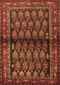 Persian Brown Traditional Rug, tr2012brn