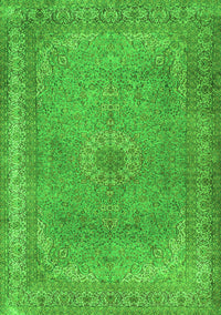 Persian Green Traditional Rug, tr2013grn