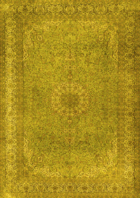 Persian Yellow Traditional Rug, tr2013yw