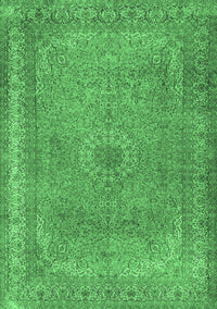 Persian Emerald Green Traditional Rug, tr2013emgrn