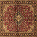 Square Machine Washable Persian Brown Traditional Rug, wshtr2017brn