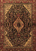 Persian Brown Traditional Rug, tr2019brn