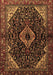 Machine Washable Persian Brown Traditional Rug, wshtr2019brn