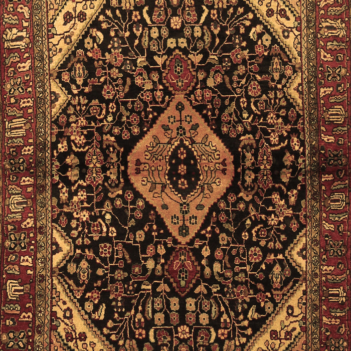 Machine Washable Persian Brown Traditional Rug, wshtr2019brn