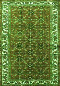 Persian Green Traditional Rug, tr201grn