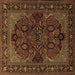 Square Machine Washable Persian Brown Traditional Rug, wshtr2020brn