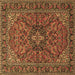 Square Persian Brown Traditional Rug, tr2021brn