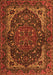 Persian Orange Traditional Rug, tr2024org