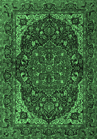 Persian Emerald Green Traditional Rug, tr2024emgrn