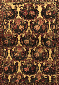 Persian Brown Traditional Rug, tr2025brn