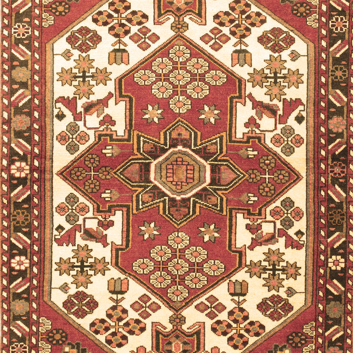 Persian Brown Traditional Rug, tr202brn
