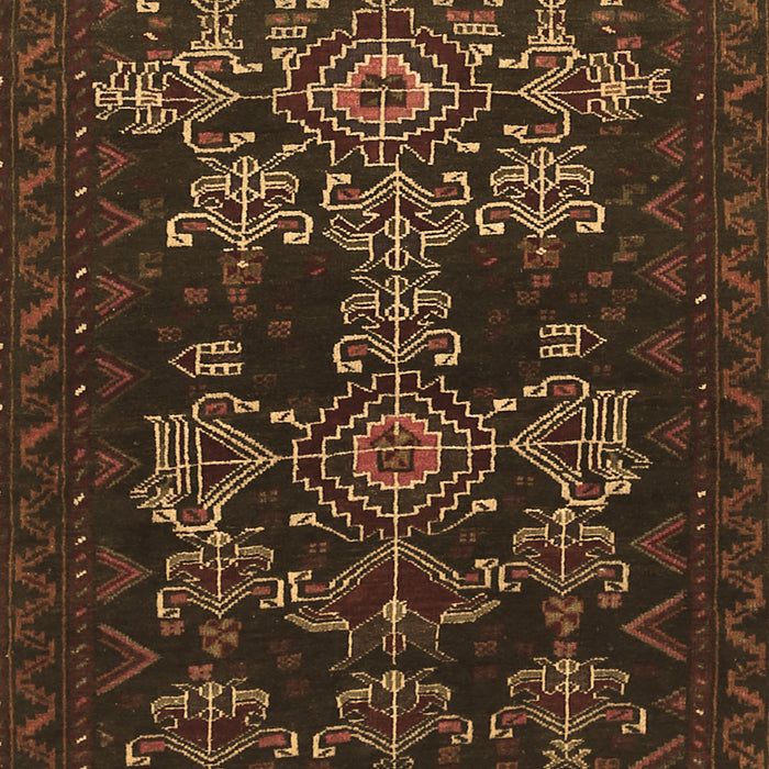 Machine Washable Persian Brown Traditional Rug, wshtr2032brn