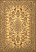 Medallion Brown Traditional Rug, tr2039brn