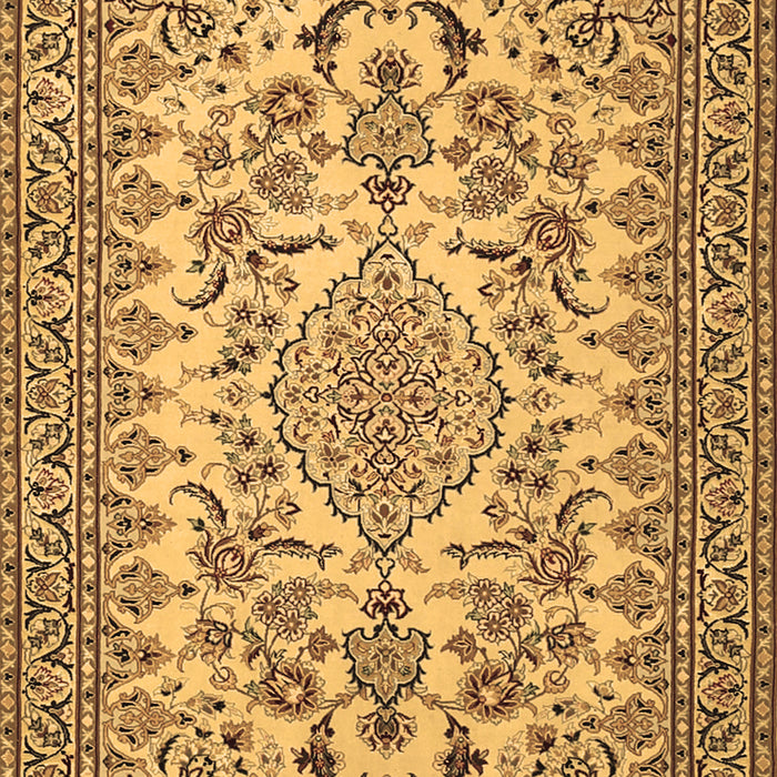 Medallion Brown Traditional Rug, tr2039brn