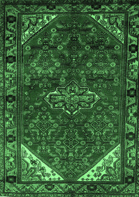 Persian Emerald Green Traditional Rug, tr203emgrn