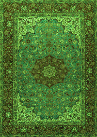 Medallion Green Traditional Rug, tr2040grn