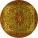 Round Medallion Yellow Traditional Rug, tr2040yw