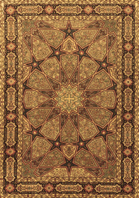 Persian Brown Traditional Rug, tr2042brn