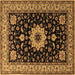 Square Machine Washable Persian Brown Traditional Rug, wshtr2043brn