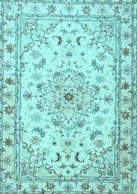 Persian Light Blue Traditional Rug, tr2045lblu