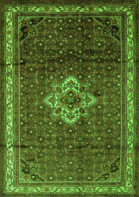 Persian Green Traditional Rug, tr205grn