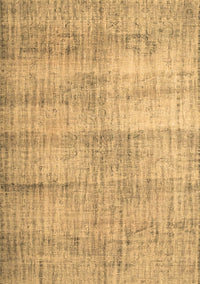 Persian Brown Traditional Rug, tr2063brn