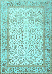 Oriental Light Blue Traditional Rug, tr2064lblu