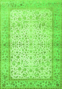 Oriental Green Traditional Rug, tr2064grn