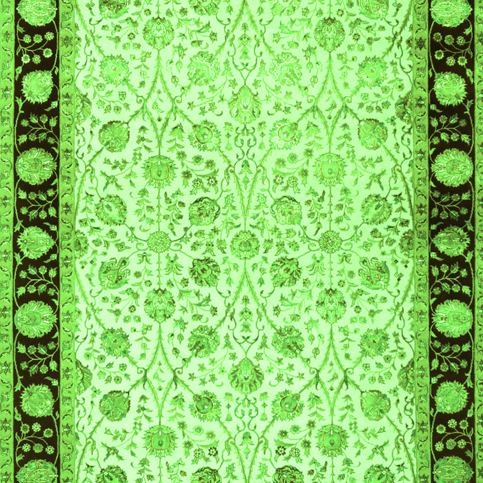 Persian Green Traditional Rug, tr2070grn