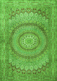 Medallion Green Traditional Rug, tr2078grn