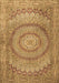 Medallion Brown Traditional Rug, tr2078brn