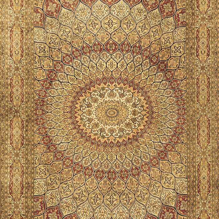 Machine Washable Medallion Brown Traditional Rug, wshtr2078brn