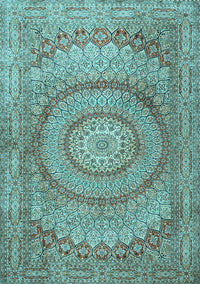 Medallion Light Blue Traditional Rug, tr2078lblu