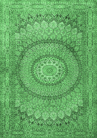 Medallion Emerald Green Traditional Rug, tr2078emgrn