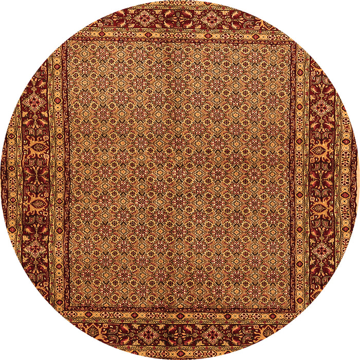 Square Persian Orange Traditional Rug, tr207org