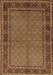 Machine Washable Persian Brown Traditional Rug, wshtr207brn