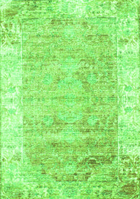 Persian Green Traditional Rug, tr2086grn