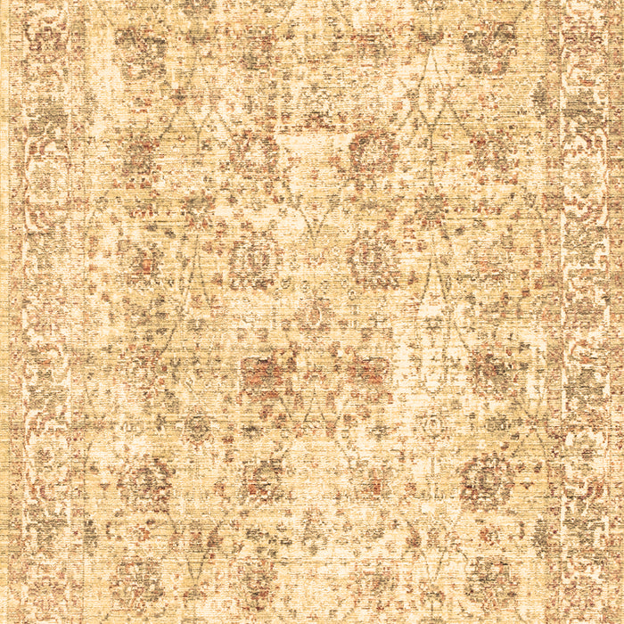 Machine Washable Persian Brown Traditional Rug, wshtr2087brn